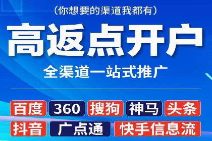 初探SEM推广代运营的多种成功模式